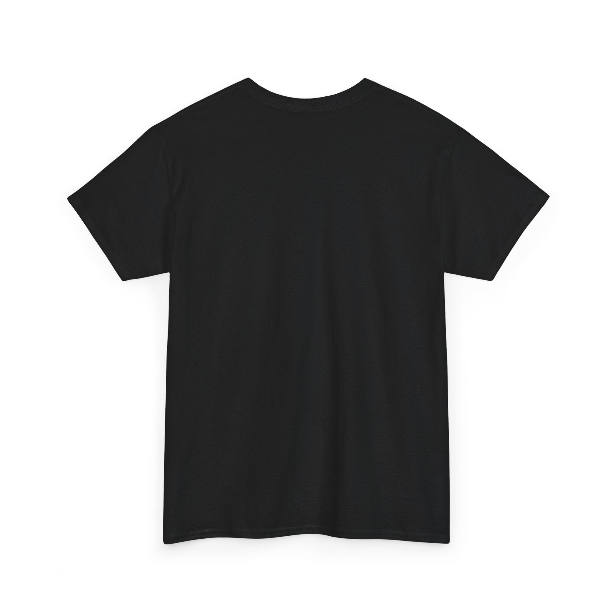 America's 250 Year Anniversary Tee