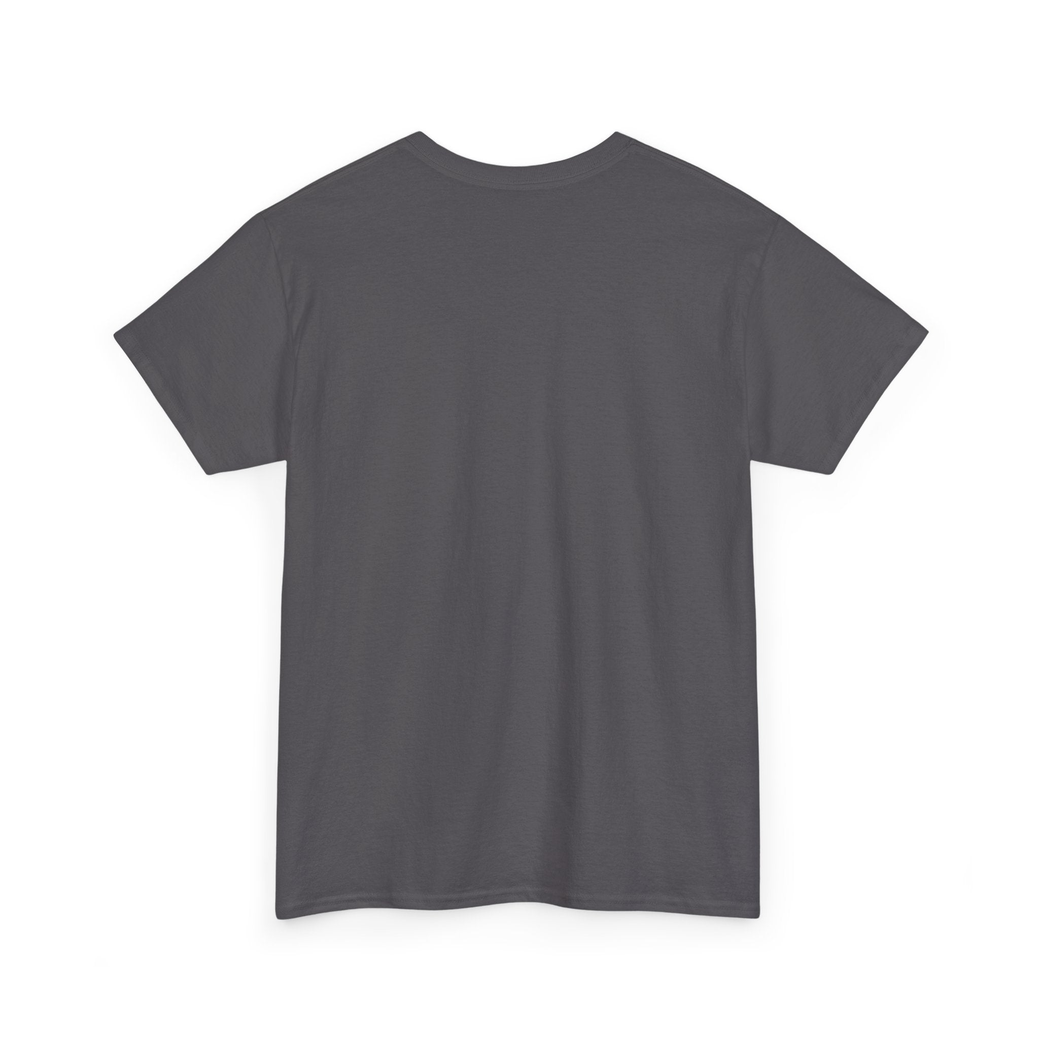 America's 250 Year Anniversary Tee